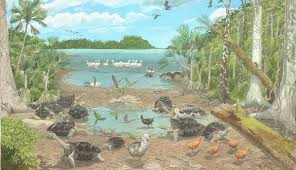 dodo habitat